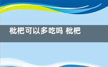 枇杷可以多吃吗 枇杷可不可以多吃(枇杷可以多吃吗的功效与作用)